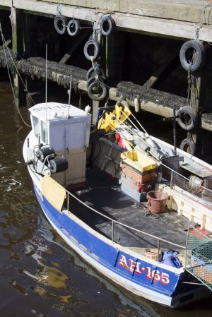 walkworth grange  fish quay 20 sm.jpg